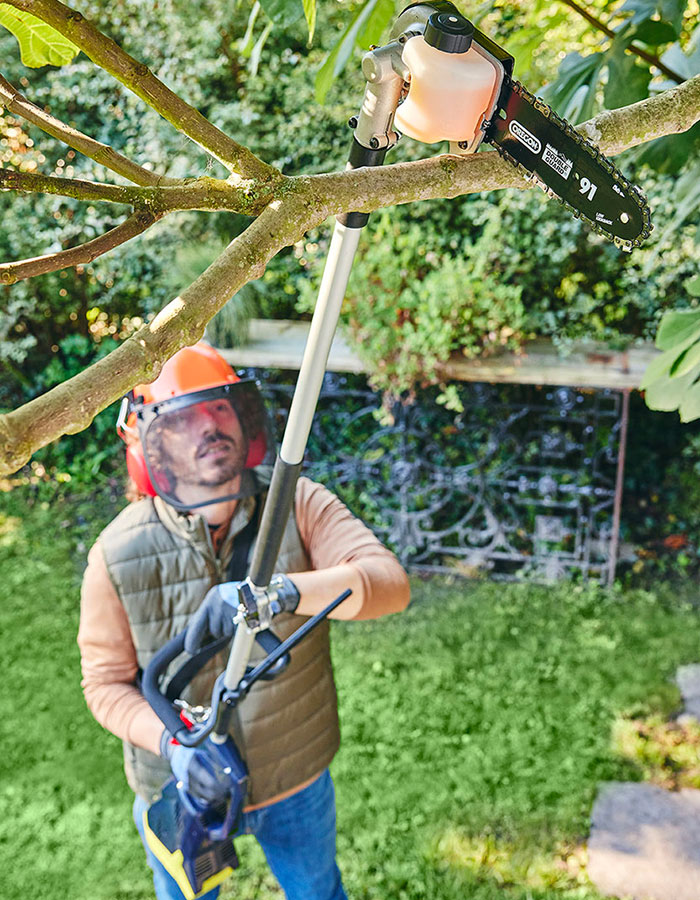 2025.ecz.elageuse.3275974108329.60893.1000