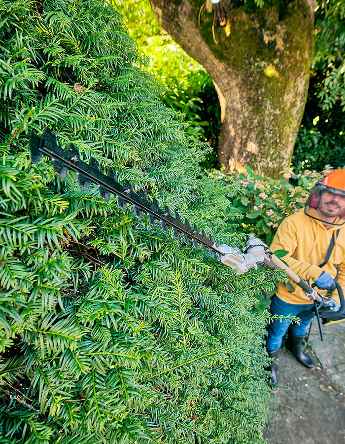 2025.ecz.taillehaie.3275974108329.60893.1003